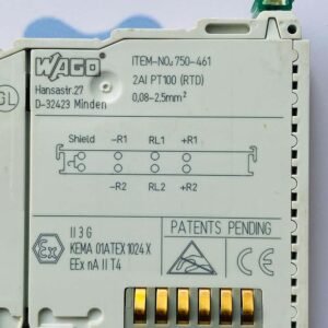 Wago 750-461 | 2-Channel Analog Input Module