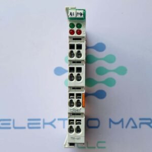Wago 750-461 | 2-Channel Analog Input Module