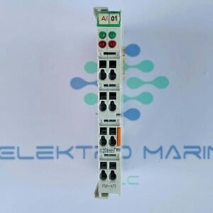 Wago 750-473 | 2-Channel Analog Input Module
