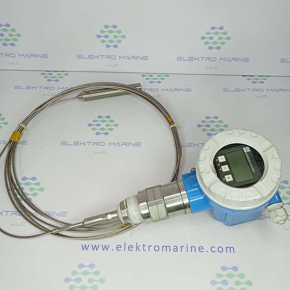 Endress+Hauser FMP40-AAA2GNJH21AA | Levelflex-M