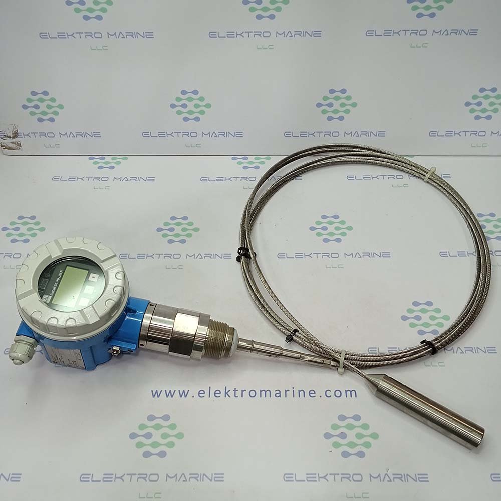 Endress+Hauser FMP40-ABB2GNJH21AA | Levelflex-M