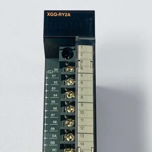 LS Electric XGQ-RY2A | Relay Output Module